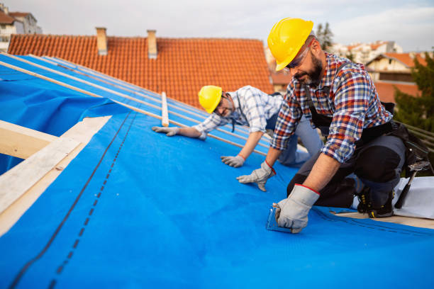 Best Green or Eco-Friendly Roofing Solutions  in Lima, OH